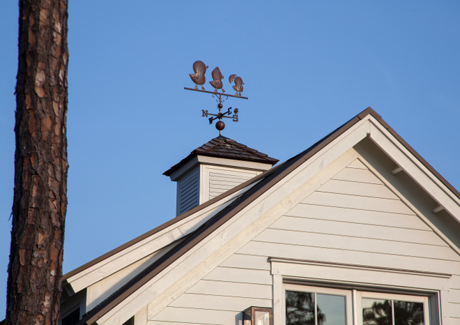 Duck Crossing weathervane. Duck Crossing weathervane. Duck Crossing weathervane. Duck Crossing weathervane #DuckCrossing #weathervane Lisa Furey of Barefoot Interiors