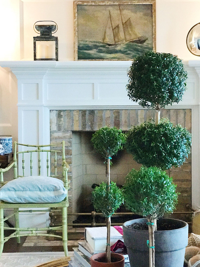 Topiaries. The ladies (myrtles) travel from room to room and I love how easy going they are! They love the southern sunlight in the living room. Lantern from HomeGoods. Vintage art (the best collection I've ever seen) The Atelier Collection. Beautiful Homes of Instagram @SweetShadyLane