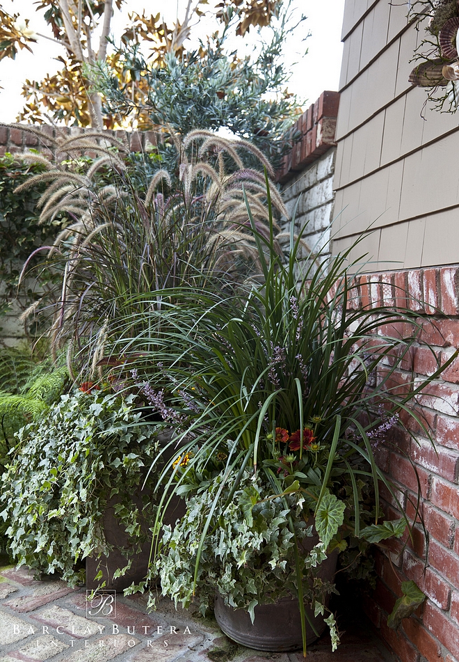 Small Backyard Plants Best plants for small backyards