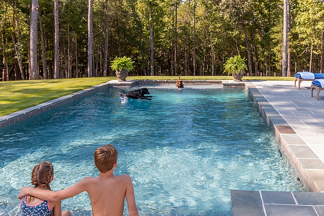 Pool backyard with pets kids pool summer bluestone pool patio #pool #patio