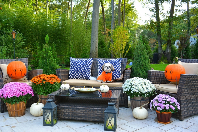 Backyard outdoor sofa set Backyard outdoor sofa set Backyard outdoor sofa set #Backyard #outdoorsofaset