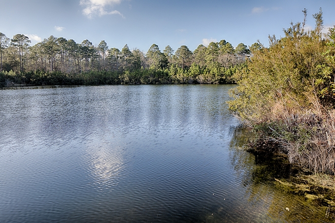 Lakefront Homes