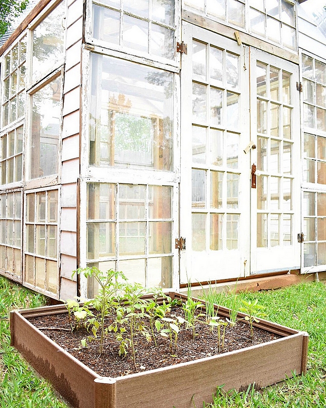 Greenhouse made out of salvage windows