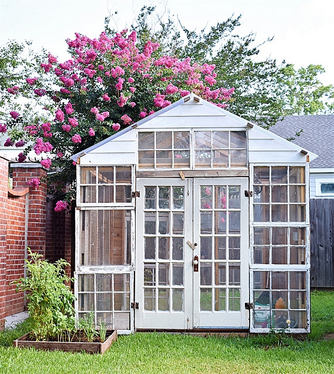 Greenhouse built with old windows I wanted to save all the old windows to have a functional greenhouse built in my backyard #greenhouse #backyard