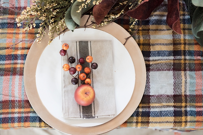 Fall Plate decor