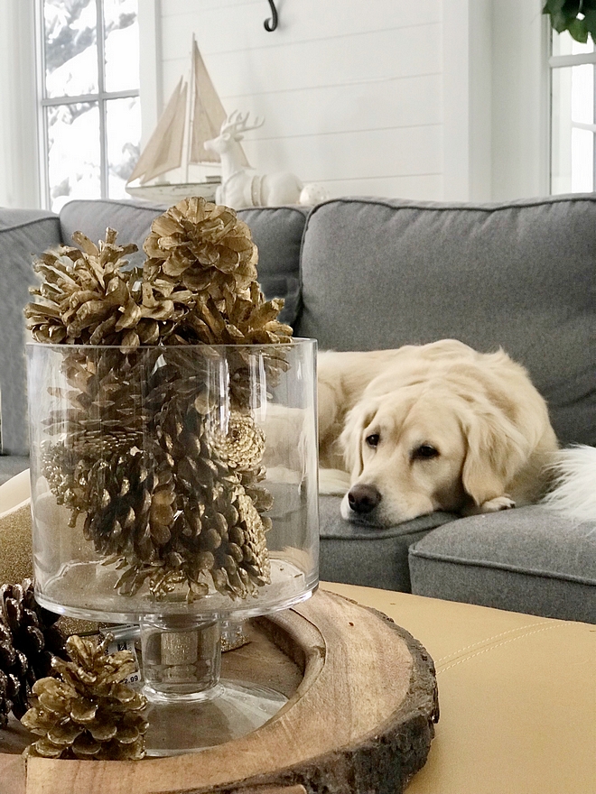 My sweet girl Liberty keeps her eyes on me while I tweak decor pieces and move them from one room to another, many times over, until I find just the right spot for it