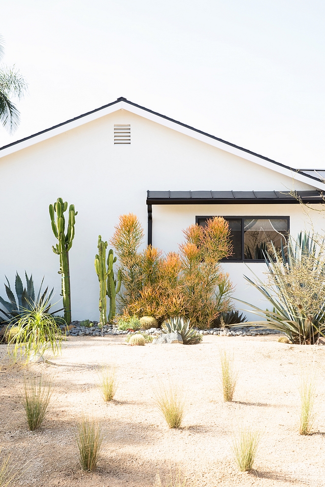 How to convert landscaping into a drought tolerant landscape Landscape How to convert landscaping into a drought tolerant landscape How to convert landscaping into a drought tolerant landscape #convertlandscaping #droughttolerantlandscape