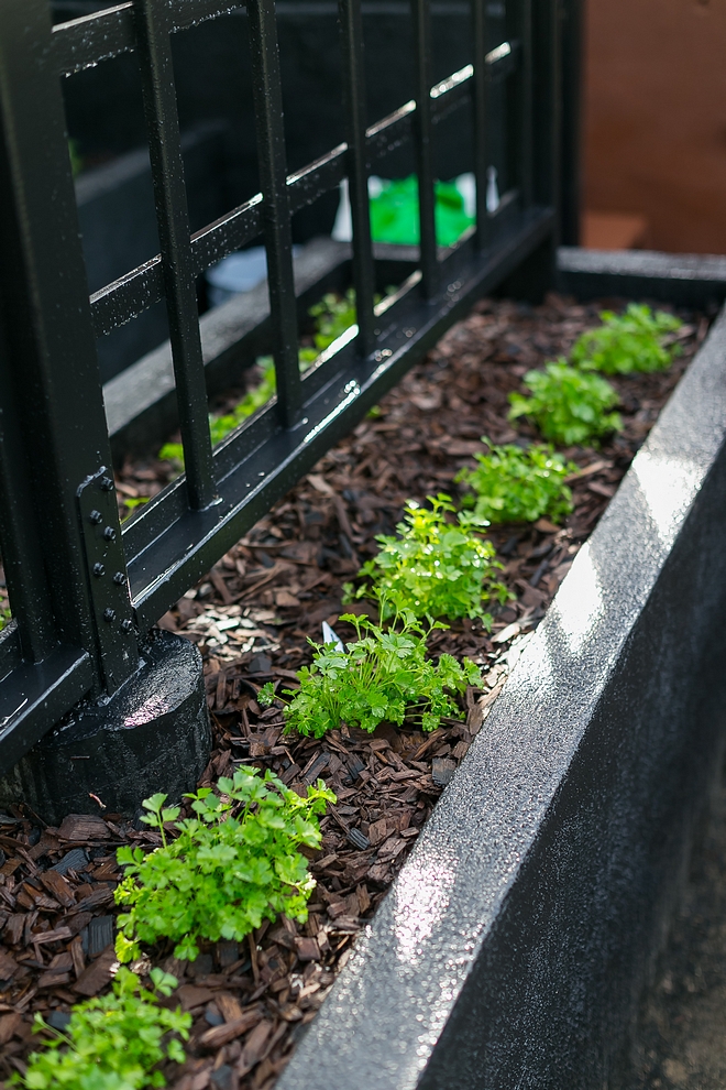 Vegetable Garden Raised Bed Organic Herb Vegetable greenhouse with raised beds Vegetable Garden Raised Bed vegetable garden raised beds Raised-bed gardening #vegetablegarden #raisedbedsgardening #Raisedbedgarden #greenhouse #organicvegetables #plantingvegetable #organicgreenhouse