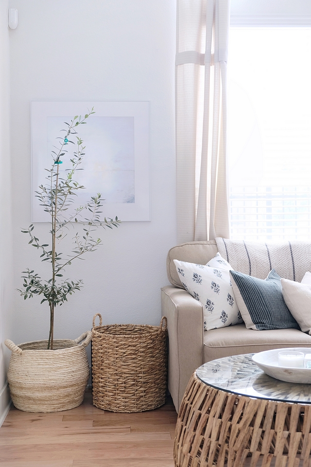 Olive Tree Indoor trees Olive Tree in large basket #OliveTree #indoortrees