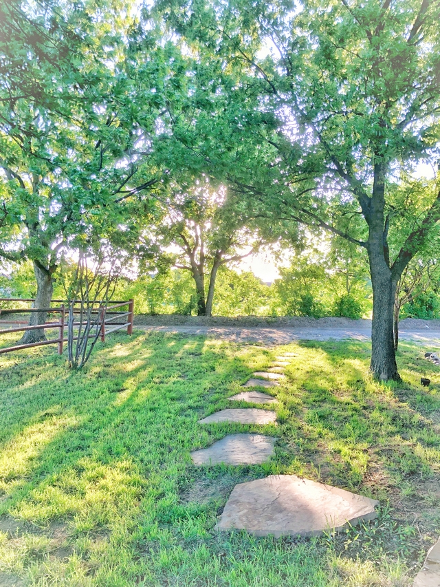 Look at the trees, take a few deep breaths and imagine walking on the grass and on the stones with your bare feet... #nature #meditate #peaceful