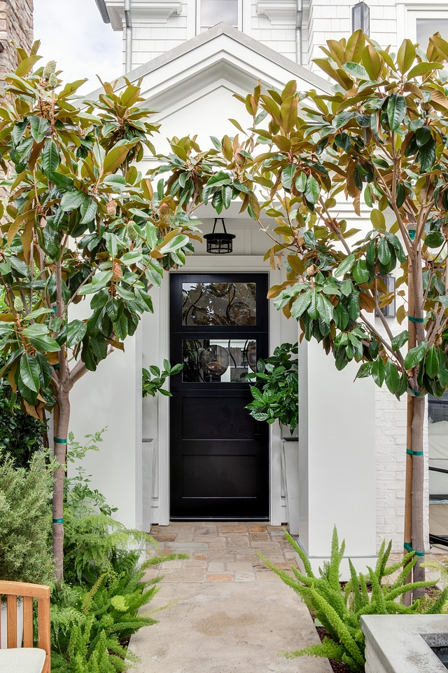 Benjamin Moore Onyx Benjamin Moore Onyx Best black door paint color Benjamin Moore Onyx Benjamin Moore Onyx #Bestblackdoorpaintcolor #blackdoorpaintcolor #BenjaminMooreOnyx #BenjaminMoore #Onyx