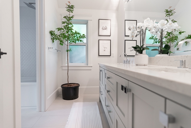 Benjamin Moore Silver Song Benjamin Moore Silver Song Bathroom paint color Benjamin Moore Silver Song Benjamin Moore Silver Song Benjamin Moore Silver Song #BenjaminMooreSilverSong #bathroompaintcolor