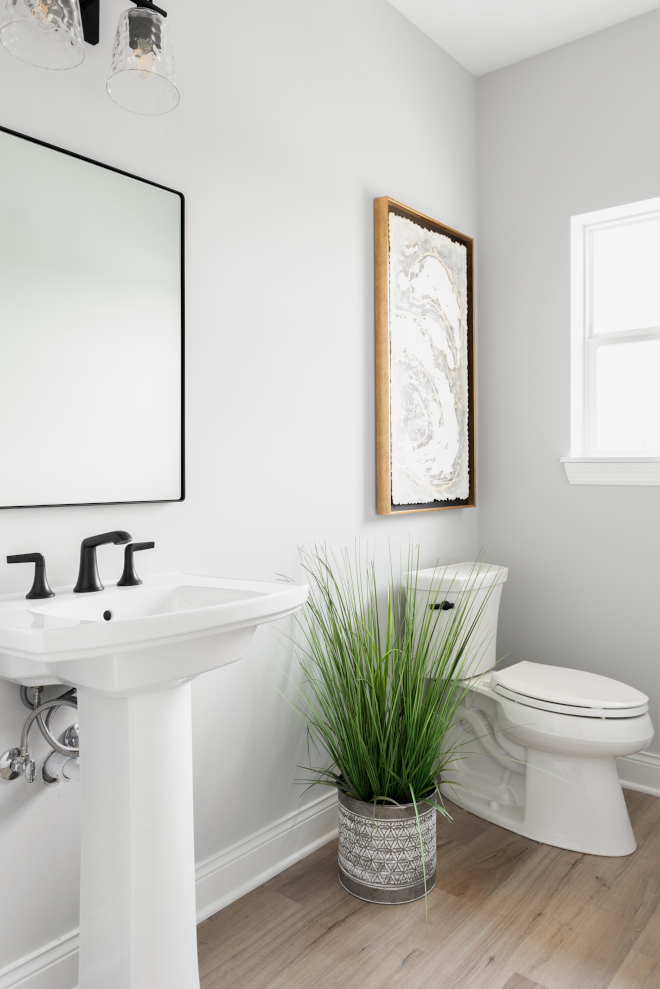 Sherwin Williams Passive Powder Room Sherwin Williams Passive Sherwin Williams Passive Powder Room Sherwin Williams Passive #SherwinWilliamsPassive #PowderRoom #SherwinWilliams