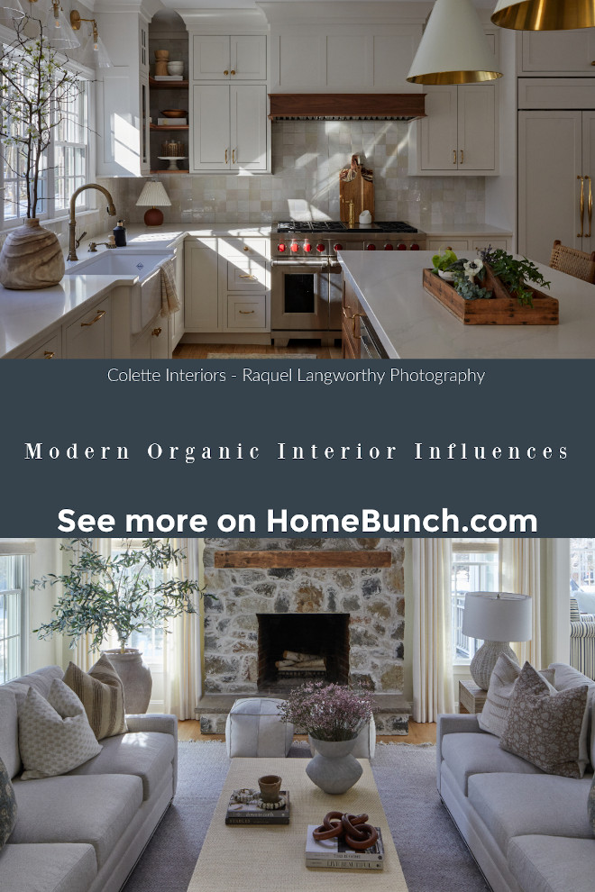 Modern Organic Interior Influences