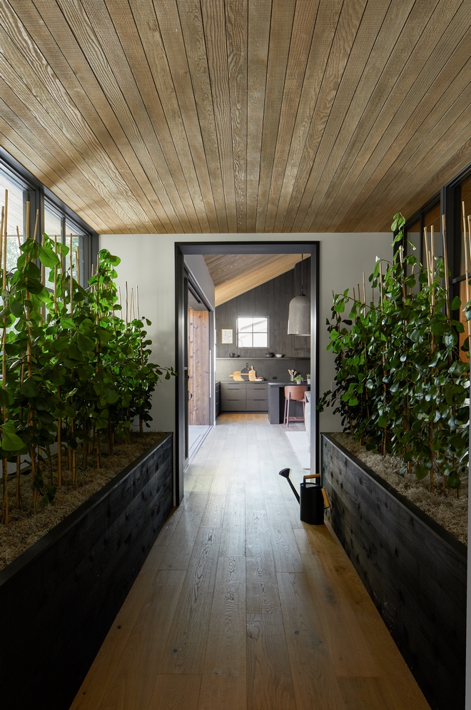 Indoor garden ideas Hall with indoor garden Hallway leading to bedrooms with indoor garden Indoor garden ideas Indoor garden ideas Hall with indoor garden Hallway leading to bedrooms with indoor garden Indoor garden ideas #indoorgarden #Indoorgardenideas