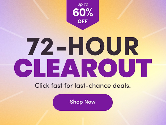 wayfair sale