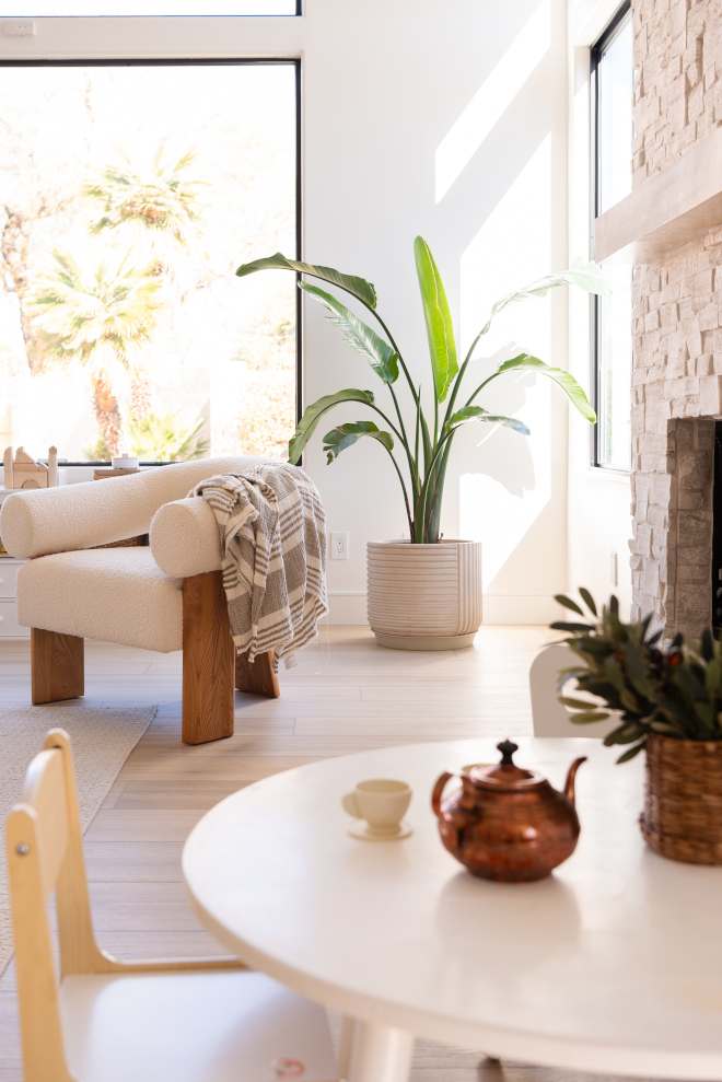 Indoor plant ideas Bird of Paradise