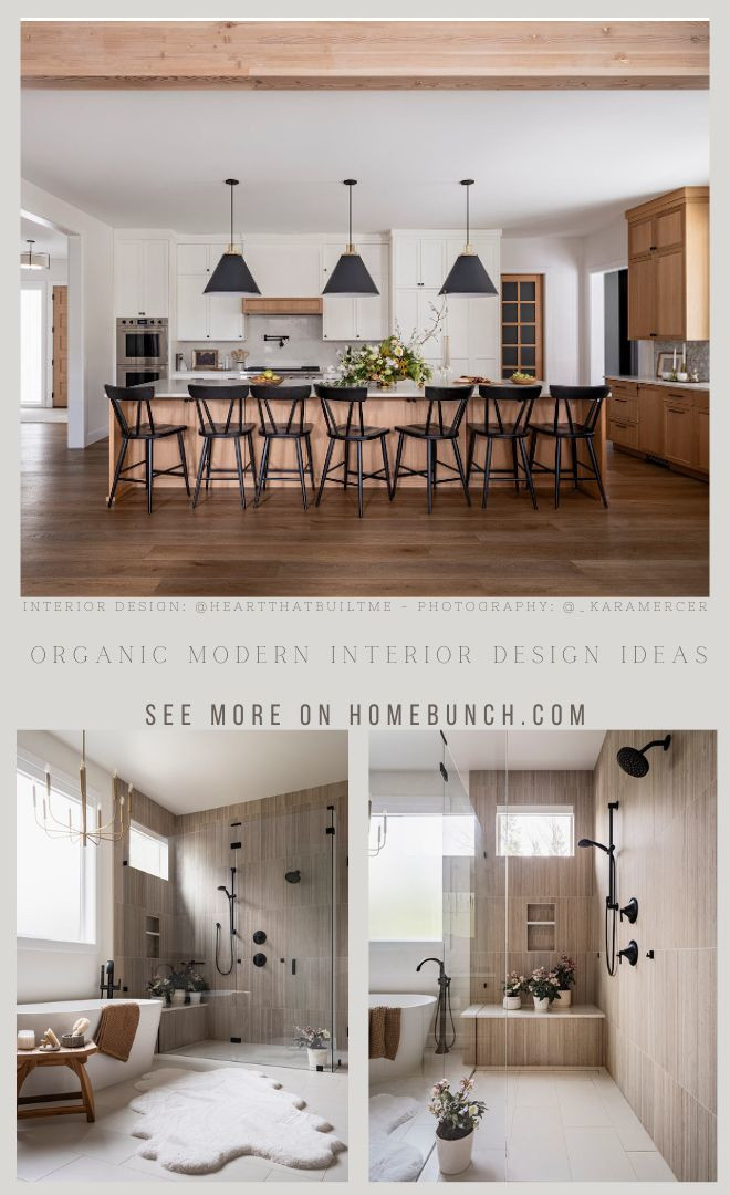 Organic Modern Interior Design Ideas