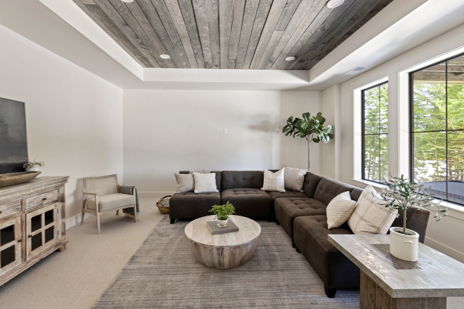 Sherwin Williams Neutral Ground #SherwinWilliams #SherwinWilliamsNeutralGround