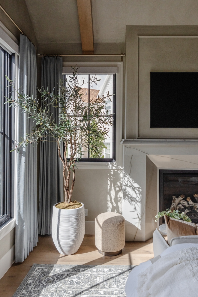 Bedroom olive tree Bedroom olive tree Bedroom olive tree Bedroom olive tree Bedroom olive tree Bedroom olive tree Bedroom olive tree #Bedroom #olivetree