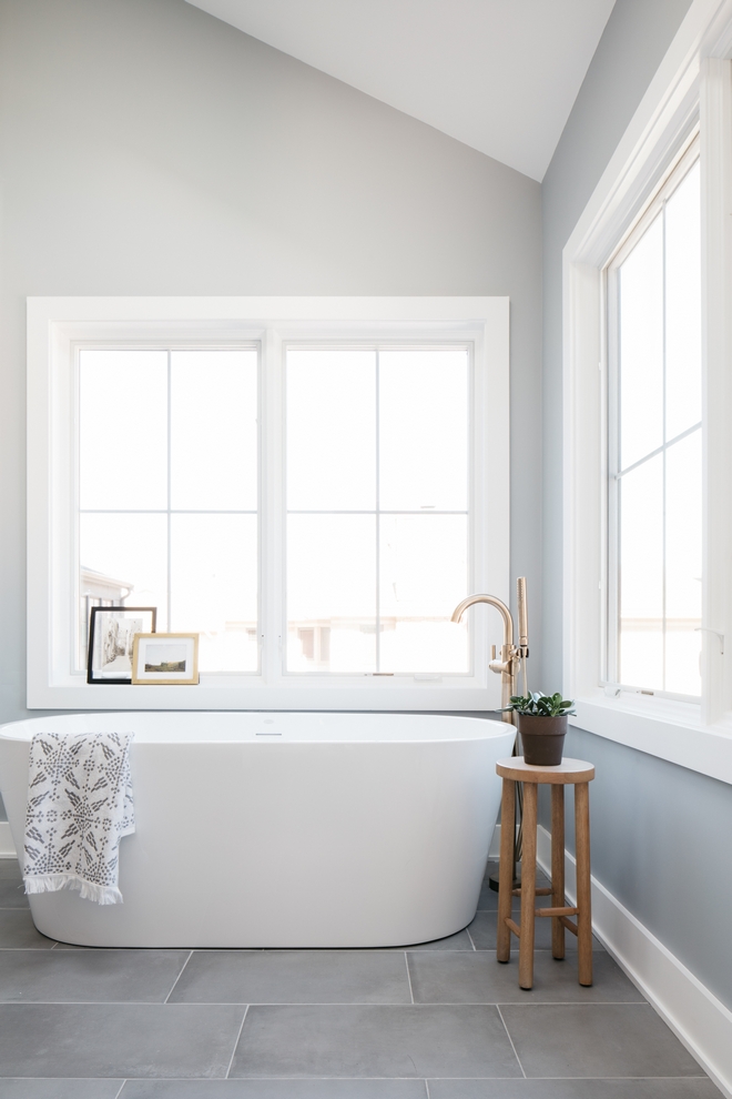Sherwin Williams Monorail Silver paint color