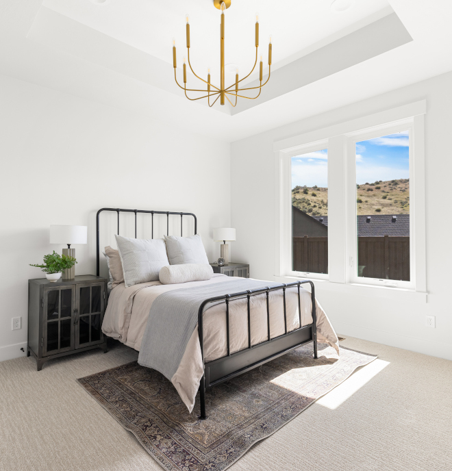 Guest bedroom with Sherwin Williams Alabaster walls, tray ceiling, and neutral carpet