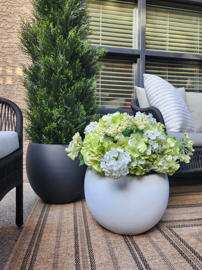 My favorite outdoor planters Favorite planters My favorite outdoor planters Favorite planters My favorite outdoor planters Favorite planters My favorite outdoor planters Favorite planters #Myfavorite #outdoorplanters #Favoriteplanters #planters #outdoorplanter