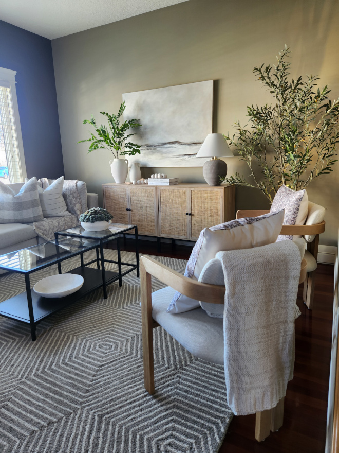 Earthy toned living room with oversized rug, layered neutral textures, warm wood tones, olive trees, and designer-inspired decor creating a cozy luxury feel.