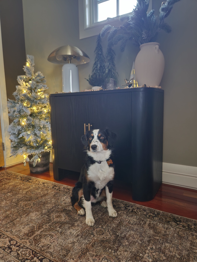 Perfect Rug for the Holiday season Dark rug perfect for the holiday season