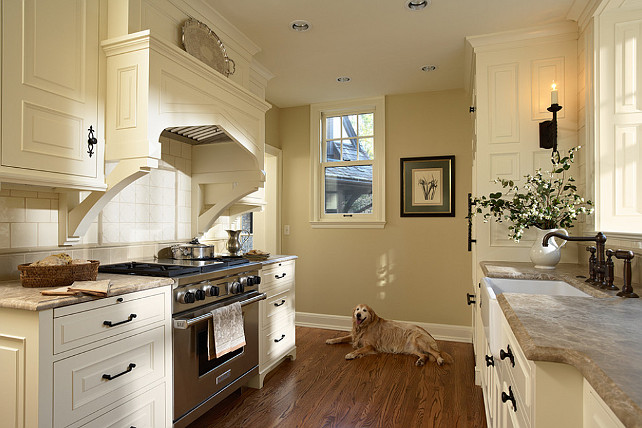 White Kitchen Home Bunch Interior Design Ideas