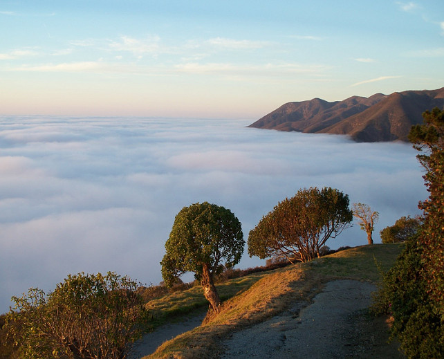 Big Sur, CA, United States #California Via Sotheby's Homes.