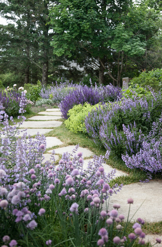 Garden Plants. #Garden #Plants