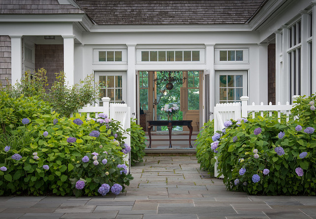 Garden. Beach House Gardening. Hydrangea. Cabriole legs. Chandelier. Entry table. Purple flowers. Purple hydrangea. Shingle roof. Sidelights. Transom windows. Weathered wood siding. White French doors.