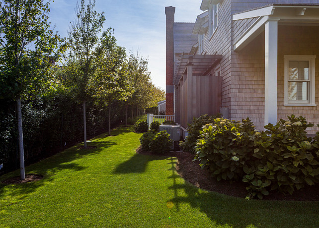 Landscaping Ideas. Trees by the fence are Sunset Maples. #Landscaping #Trees #SunsetMaples