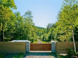 halle appreciated secluded