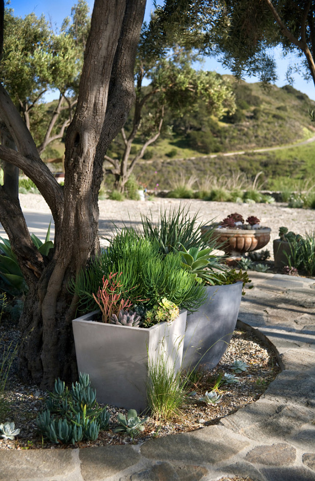 Planters. Planter Ideas. Planters #Planters #GardenPlanters Grace Design Associates.