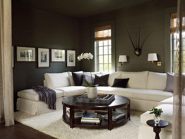 Porpoise SW 7047 Sherwin Williams. Charcoal Paint Color. Porpoise SW 7047 Sherwin Williams. #Porpoise #SW7047 #SherwinWilliams 