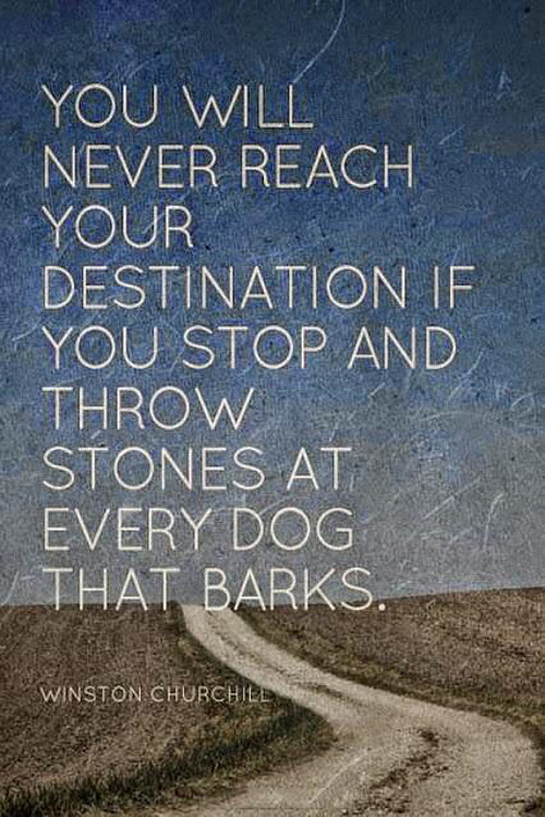 You will never reach your destination if you stop and throw stones at every dog that barks.